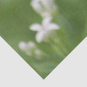Gefeliciteerd met je Tissue Paper Tissuepapier (Detail)