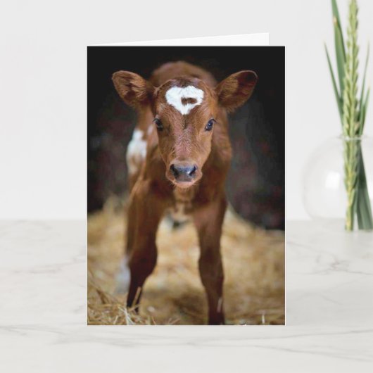 "GEFELICITEERD MET JE VERJAARDAG" AAN mijn **BROER Kaart (Voorkant)