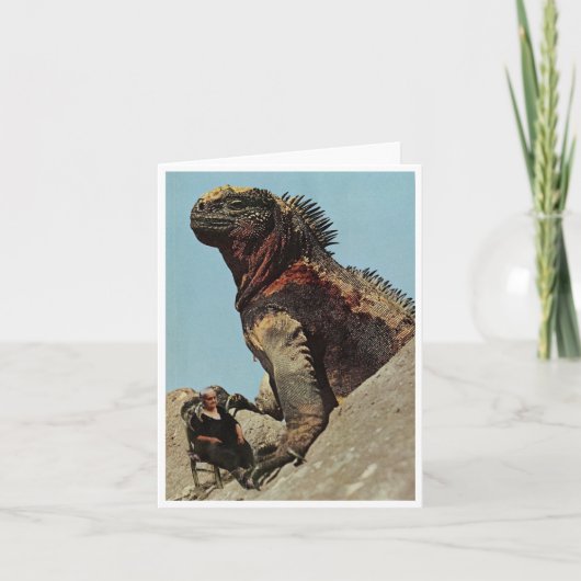 Gefeliciteerd met je verjaardag, baby - kaart (Voorkant)