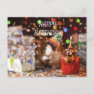 Gefeliciteerd met je verjaardag briefkaart