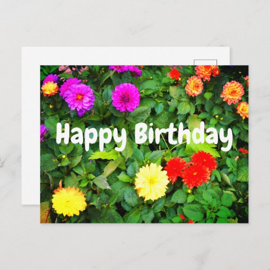 Gefeliciteerd met je verjaardag Diverse Dahlias #1 Briefkaart (Voorkant / Achterkant)