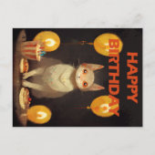 Gefeliciteerd met je verjaardag! - kattenfeest briefkaart (Voorkant)