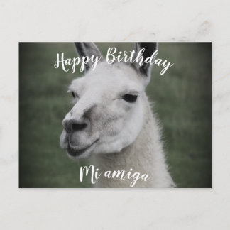 Gefeliciteerd met je verjaardag "Mi Amiga" LLama a Briefkaart