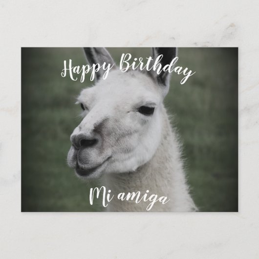 Gefeliciteerd met je verjaardag "Mi Amiga" LLama a Briefkaart (Voorkant)