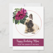 Gefeliciteerd met je verjaardag Moeder Franse Bull Feestdagenkaart (Voorkant)