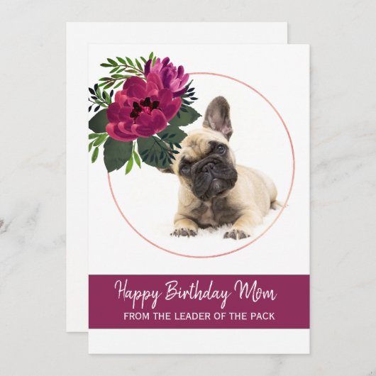 Gefeliciteerd met je verjaardag Moeder Franse Bull Feestdagenkaart (Voorkant / Achterkant)