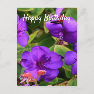Gefeliciteerd met je verjaardag: Paarse Tibouchina Briefkaart