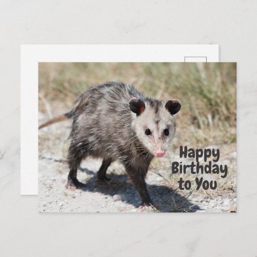 Gefeliciteerd met je verjaardag Schattige Lopende  Briefkaart (Voorkant / Achterkant)