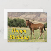 Gefeliciteerd met je verjaardag Veulen Briefkaart (Voorkant / Achterkant)