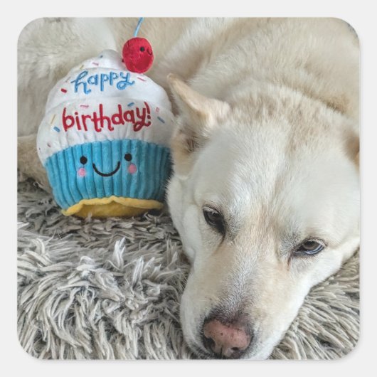 Gefeliciteerd met je verjaardag. vierkante sticker (Voorkant)