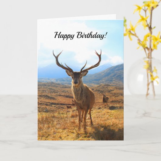 Gefeliciteerd met je verjaardag voor een hert kaart (Gele Bloem)