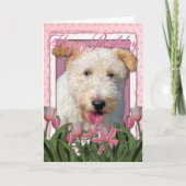 Gefeliciteerd met je verjaardag - Wire Fox Terrier Kaart (Voorkant)