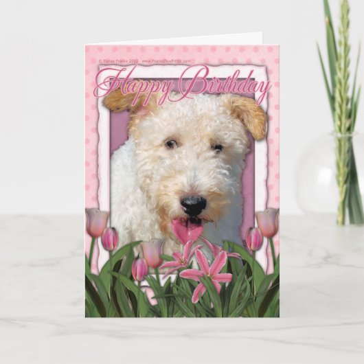 Gefeliciteerd met je verjaardag - Wire Fox Terrier Kaart (Voorkant)