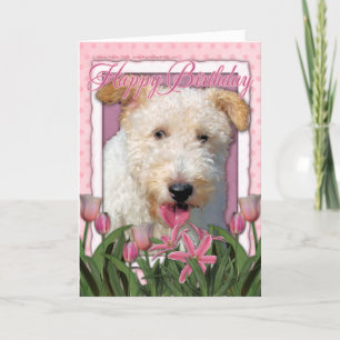 Gefeliciteerd met je verjaardag - Wire Fox Terrier Kaart
