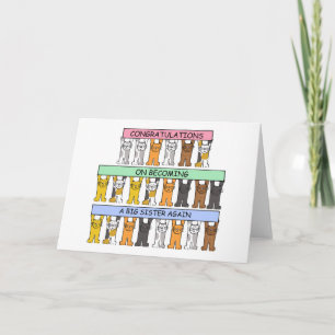 Gefeliciteerd met je weer een grote zuster bent ge kaart