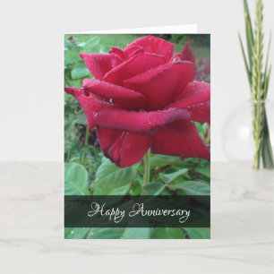 Gefeliciteerd met jullie jubileum Liefde Rode Roos Kaart