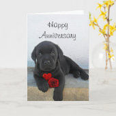 Gefeliciteerd met jullie trouwdag Labrador pup ver Kaart (Gele Bloem)