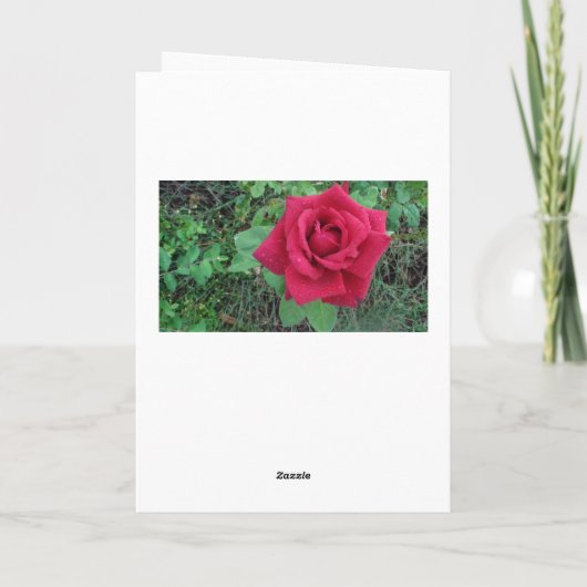 Gefeliciteerd met jullie trouwdag Liefde Rode Roos Kaart (Achterkant)