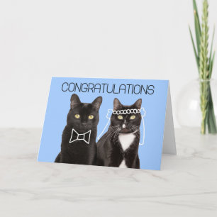 Gefeliciteerd met jullie trouwen Cute Cat Koppel Kaart