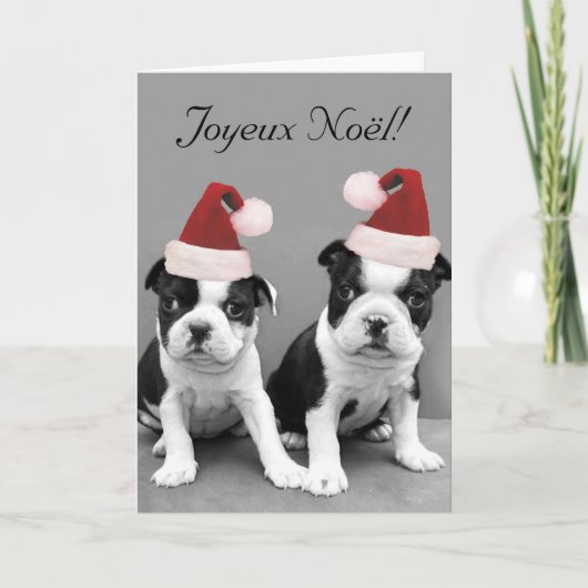 Gefeliciteerd met Kerstfeest Boston Terriers greet Feestdagen Kaart (Voorkant)
