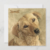 Gefeliciteerd met Nieuw Huisdier Hond Kaart (Voorkant)