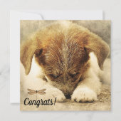 Gefeliciteerd met Nieuw Huisdier Hond Kaart (Voorkant)