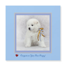 Gefeliciteerd met nieuwe Samoyed Puppy Magnetic Ca