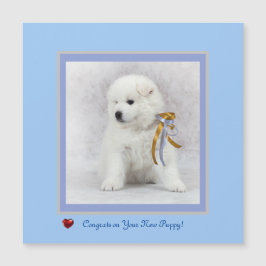 Gefeliciteerd met nieuwe Samoyed Puppy Magnetic Ca