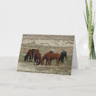 Gefeliciteerd met nieuwe Vet Afstuderen - Ranch of Kaart