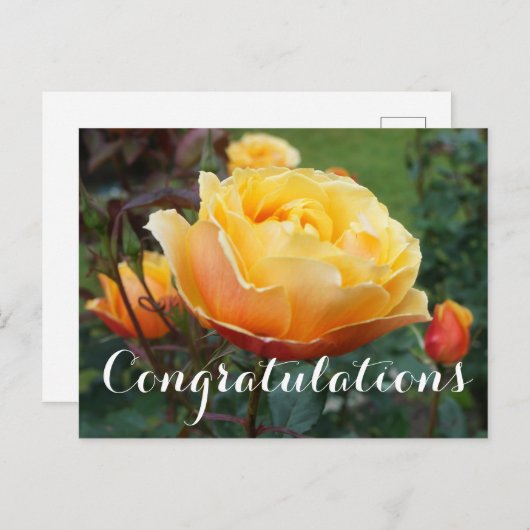 Gefeliciteerd met Roos #2 Briefkaart van Face (Voorkant / Achterkant)