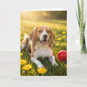 Gefeliciteerd met uw nieuwe Beagle Kaart
