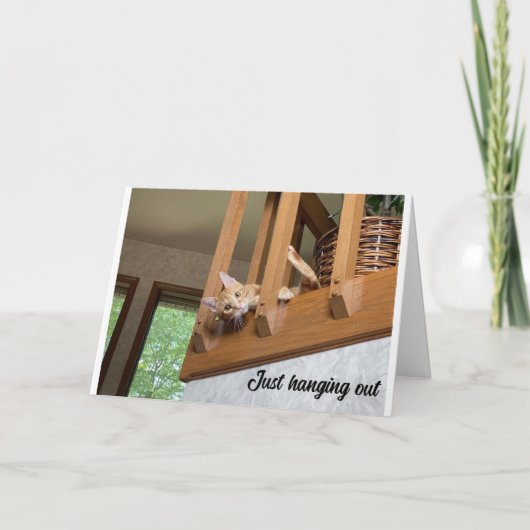 "GEFELICITEERD MET VADERDAG" VAN HANGEN UIT KATTEN KAART (Voorkant)