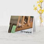 "GEFELICITEERD MET VADERDAG" VAN HANGING OUT CAT C KAART (Gele Bloem)