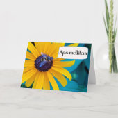 Gefeliciteerd met winnende bijen kaart (Voorkant)