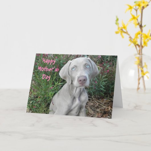 Gefeliciteerd Moederdag Van De Weimaraner Hond Kaa Kaart (Gele Bloem)