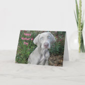 Gefeliciteerd Moederdag Van De Weimaraner Hond Kaa Kaart (Voorkant)