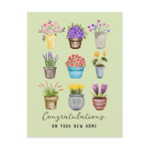 Gefeliciteerd Nieuw Thuis Mooie Potted Bloemplante