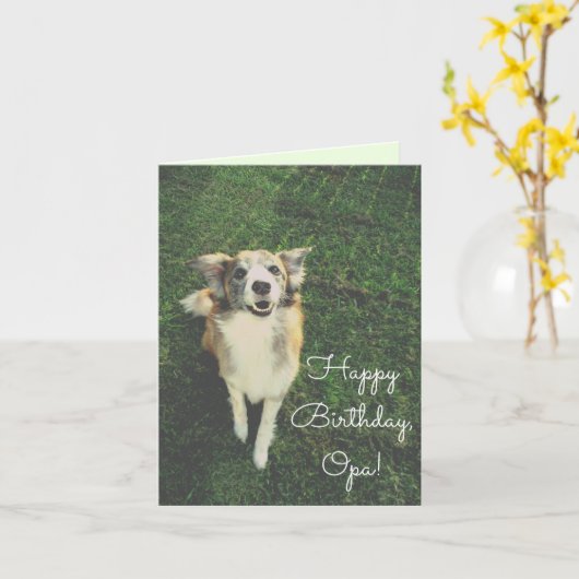 Gefeliciteerd, Opa! Neem een bal! Schattigee hond Kaart (Gele Bloem)