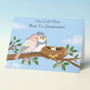 Gefeliciteerd Ouderoomvogels Welkom Kleinbabytje Kaart
