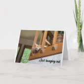 "GEFELICITEERD PAPA" VAN HANGING OUT CAT CARD KAART (Voorkant)
