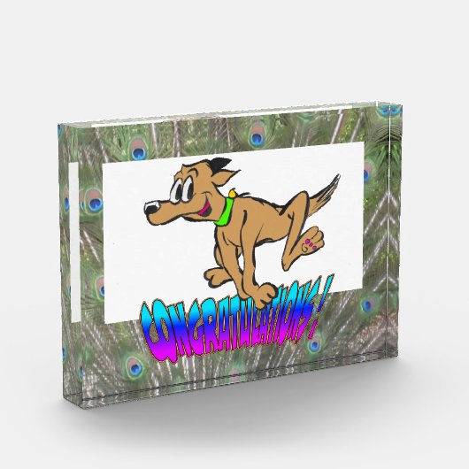 Gefeliciteerd Peacock Feathers Colour Photo Block Fotoblokken (Links)