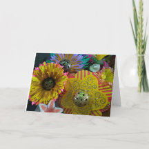 Gefeliciteerd Pickleball Speler!