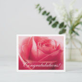 Gefeliciteerd Pink Rose Groet Briefkaart (Staand voorkant)