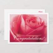 Gefeliciteerd Pink Rose Groet Briefkaart (Voorkant / Achterkant)