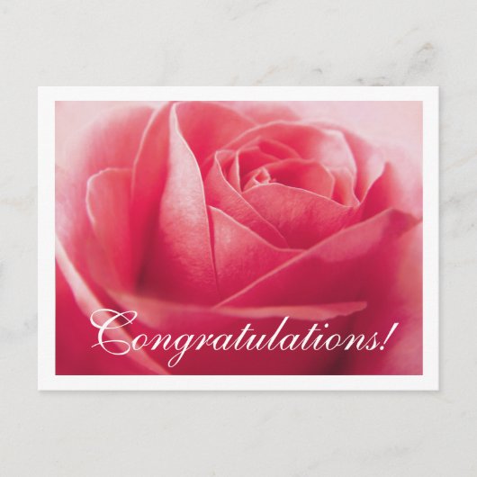 Gefeliciteerd Pink Rose Groet Briefkaart (Voorkant)