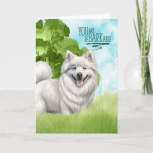 Gefeliciteerd reBARKable American Eskimo Dog Kaart