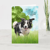 Gefeliciteerd reBARKable Border Collie Hond Kaart (Voorkant)