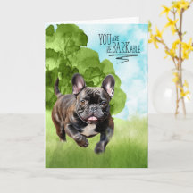 Gefeliciteerd reBARKable Brindle Franse Bulldog