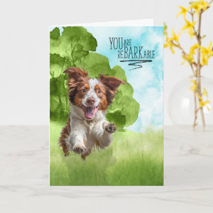 Gefeliciteerd reBARKable Brittany Spaniel Hond Kaart