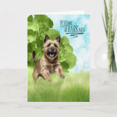 Gefeliciteerd reBARKable Cairn Terrier Hond Kaart (Voorkant)